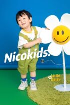 New Children Photography Props Small Daisy Baby Photo Props Themed Photothemed Photo Assistance Props Small Flowers