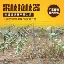 Yongdezu main fruit tree angle device puller branch garden tool high spindle type two-layer branch