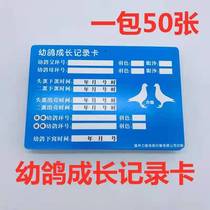 Pigeon supplies and appliances Chinese carrier pigeon lineage direct pigeon record book racing pigeon book (pre-sale)