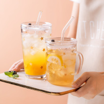Modern housewife straw cup with straw glass large capacity with lid ins Wind suction tube Cup summer milk tea cup