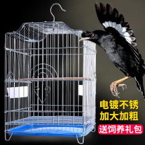 Birdcage Brother Xuanfeng Paget Parrot Cage Large Extra Large Household Special Stainless Steel Color Large Breeding Encyclopedia