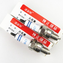 Applicable to Haojue HJ125T-9A9C9D spark plug fire nozzle New Yue star HJ125T-23 motorcycle accessories