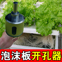 Foam plate opener planting perforated foaming hydroponic planting vegetable fresh shrimp and crab box soilless pecotton 3282542601
