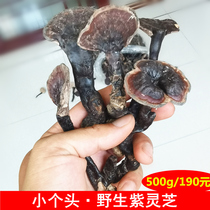 New natural wild purple fungus pruning mountains small size Linzhi dry Ganoderma Atrum preferential loading 500g