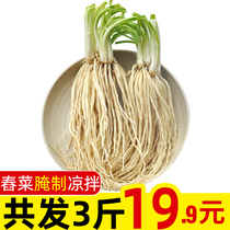 苤菜根/撇菜根 舂菜炖汤材料云南新鲜蔬菜可腌制牛皮鸡爪大叶韭菜