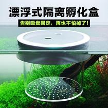 Floating isolation box acrylic suspension fish tank isolation box feeding box fish egg isolation net three lakes shaped