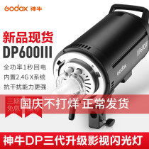 Shenniu DP600III three generations of studio lights photography flash 600W photography indoor studio photography lights