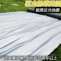Agricultural silver black film weeding film 2 silk 20 kg Anti-aging insulation moisture and grass
