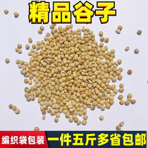 New yellow millet with Shell millet tiger skin peony Xuanfeng small and medium-sized parrot bird bird food bird feed 5kg