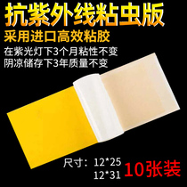 10 pieces of dress light and stick catching type of mosquito and fly lamp special stick paper sticky insect plate fly-off lamp special sticky fly paper