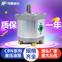 The hydraulic oil pump high-pressure gear pump CBN-F304 306 308 310 312 314 316 320 325
