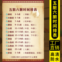 Five zang-organs and six fu-organs time table wall chart traditional Chinese medicine health preservation hanging picture meridian health preservation publicity sticker health preservation propaganda poster