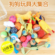 Puppy dog toys Bite-resistant puppy molars Corgi Teddy Golden hair screaming chicken Pet boredom artifact supplies