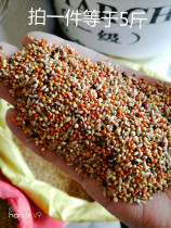 Tiger skin peony Xuanfeng Pacific small parrot birds eat feed a variety of combined grains (2) beat 1 piece = 5kg