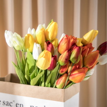 Tulip Emulation Flowers Ins Wind Nordic Minimalist Creativity Fashion DIY Swing Pat Beauty Cosmetics Photoshoot Prop Swing Piece Ornament Shooting Props Live Photography Swing Shooting Background