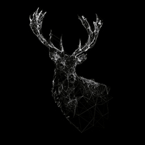 Antlers Station Tarot Astrology Chart Astrology Love Career Genuine Antlers Dedicated Full Set of Divination