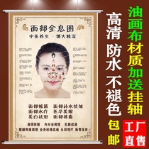 Human face holographic illustration wall chart hanging painting custom beauty salon face meridian acupoint scraping poster map