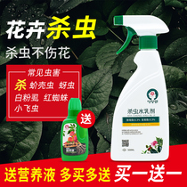 Insecticides, flowers and plants, insecticides, scale insects, aphids, red spiders, rose flowers, special flowers and plants, general insecticides