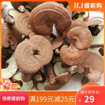 Changbai Mountain Ganoderma lucidum with powder fresh red ganoderma lucidum linderia semi-wild purple Ganoderma lucidum 500g