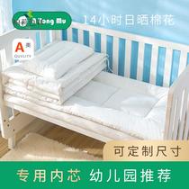 Kindergarten quilt core three-piece set four seasons baby silk liner childrens quilt spring and autumn quilt quilt can be customized