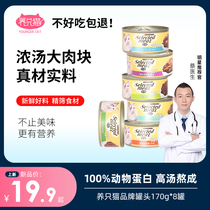 Canned cat staple food cans 170g * 8 cans of kittens into cats special snacks fattening nutrition wet grain whole box Special Special