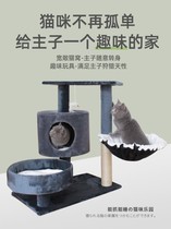 Cat climbing one cat climbing frame kittens Japanese high-rise dont covers Maine tree cute large luxury big cat