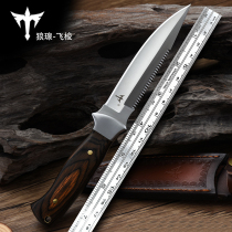 Wolf wild survival straight knife cutting edge tritium gas geometric knife outdoor knife sharp portable knife self-defense military knife