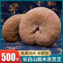 Ganoderma lucidum with spore powder large grade 500g pruning bulk Linzhi slices soaked in water semi-wild