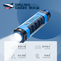 Multifunctional outdoor camping tent light LED camping light charging emergency flood light super long battery life light