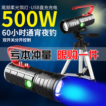 Bright light night fishing light fishing light blue and white purple yellow light source bait light ultra-bright floor type high power 5000 flashlight