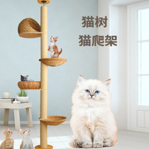 Tongtianzhu super thick cat climbing frame rattan cat nest multi-layer solid wood space capsule one-piece cat tree top-Standing cat grabbing column