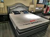 Happy to sleep in Boston (fr1524k)
