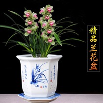 New product Jingdezhen ceramic flower pot white hand-painted blue and white porcelain orchid flower pot green aloe vera green plant classical Chinese style