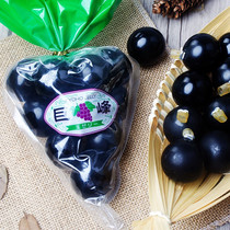 Net red casual snacks Japan Hokkaido imported Jufeng grape jelly balloon pudding dessert 11 grains