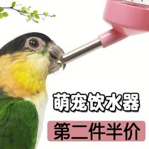 Bird drinking fountain parrot tiger skin Xuanfeng Starling brother pigeon automatic drinking water feeder ball kettle supplies
