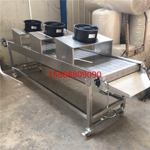 Die-casting cooling conveyor line customized suction tunnel furnace chain plate production line chain plate conveyor chain plate conveyor belt