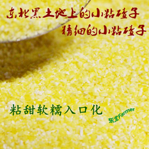 5斤东北旗黑土地粘玉米碴小黏茬子小粘苞米渣糯玉米碎做饭熬粥