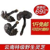 2021 Yunnan wild red Ganoderma lucidum authentic deep mountain red Linzhi 250 grams can be sliced or beaten a catty