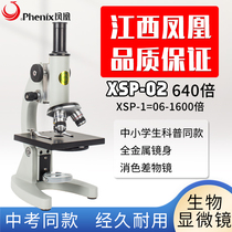 Phoenix Optical Microscopy student XSP-02 students in primary and secondary school students with biological specialty 640 times