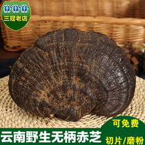 Yunnan wild sessile red ganoderma natural pruning wild red ganoderma lucidum deep mountain Linzhi ganoderma slices 500g