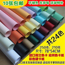 2 Open Color hard card paper props pendulum background shooting thick wedding handmade flower imported half-open big cardboard batch hair