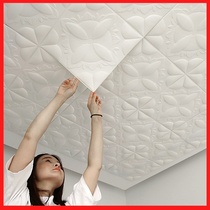 Tile House roof cover ugly decorative cloth interior ceiling top artifact living room sticker self-adhesive kitchen refurbished wall sticker