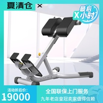  American Qiao Shan MATRIX back stretching exercise chair MG-A93 high-end gym strength training equipment