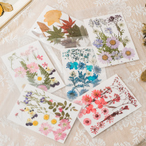 Creative handmade DIY dried flower bag plant specimen embossed sticker photo frame photo embossed face decorative dried flower makeup
