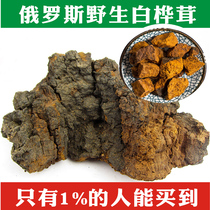 Birch antler Russia imported wild Inonotus 250g white Birch Birch tears natural insulin