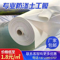 Geomembrane waterproof impermeable membrane artificial lake fish pond fish pond River Slope protection plastic film composite one cloth two cloth one film