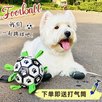 Dog football toy relief artifact resistant to bite molars pet alone interactive puppies adult dog universal Koki