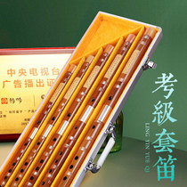Lingqing Flute Set 7 Unit Started 5 Professional Pipe Children Playing Flute Instruments to Reduce E Small A