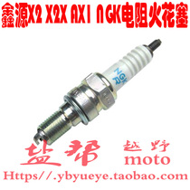 Xinyuan X2 X2X spark plug original NGK spark plug
