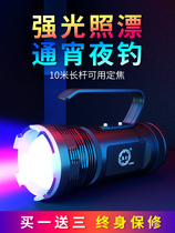 Bear Fire Fishing Light Night Fishing Light High Power Intense Light Blue Light Lamp 20W Ultra Bright Wild Fishing Bench Fishing Non-Xenon Laser Gun